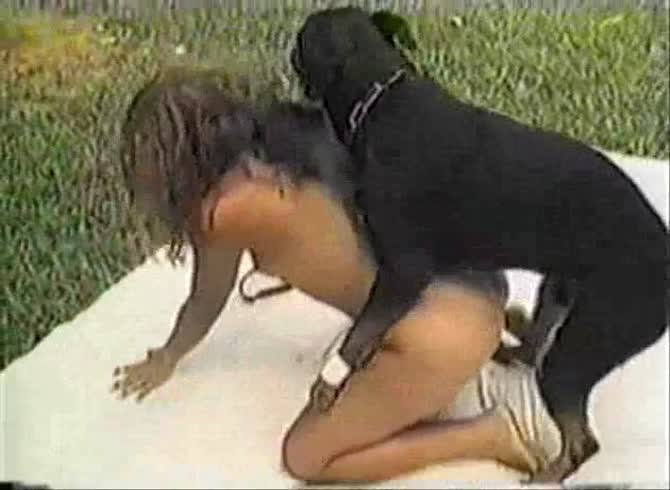 Video :Black dog got dick sucked by slut before dog sex